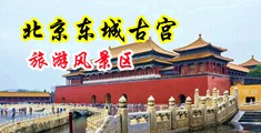 特黄特黄免费女生逼穴中国北京-东城古宫旅游风景区